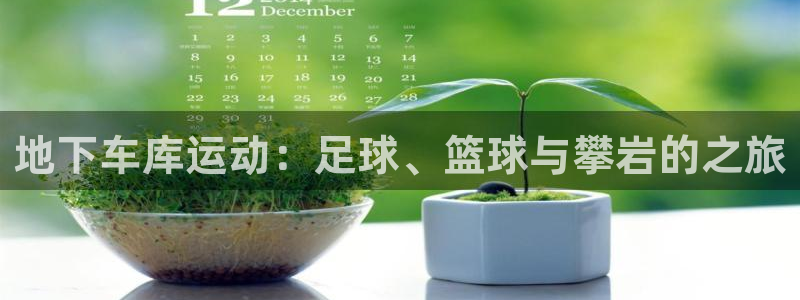 熊猫体育网址