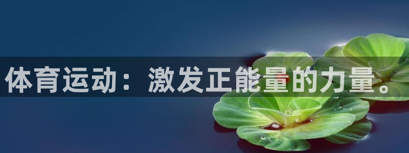 熊猫体育官方网站