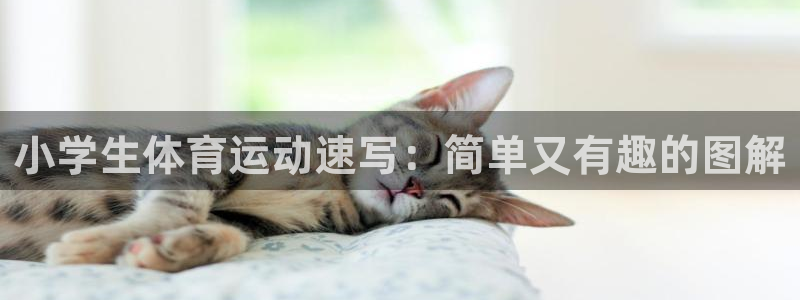 熊猫体育网址：小学生体育运动速写：简单又有趣的图解