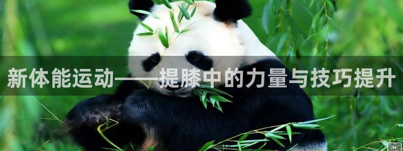 熊猫体育直播