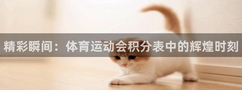熊猫体育nba：精彩瞬间：体育运动会积分表中的辉煌时刻