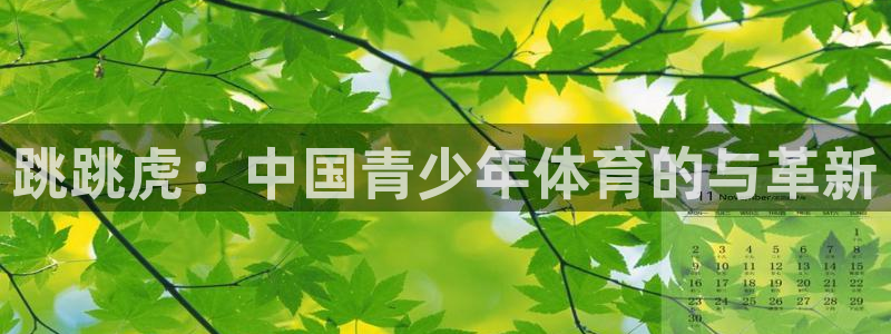 熊猫体育直播nba：跳跳虎：中国青少年体育的与革新