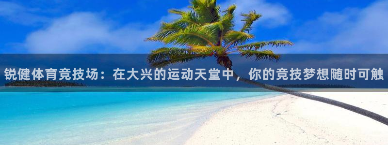 熊猫体育nba：锐健体育竞技场：在大兴的运动天堂中，你的竞技梦想随时可触