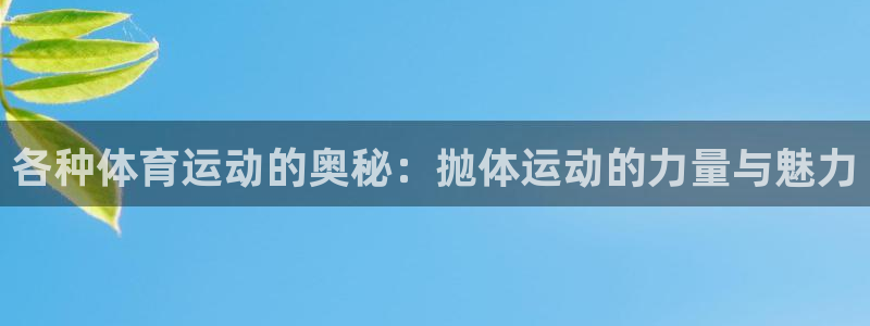 熊猫体育sports：各种体育运动的奥秘：抛体运动的力量与魅力
