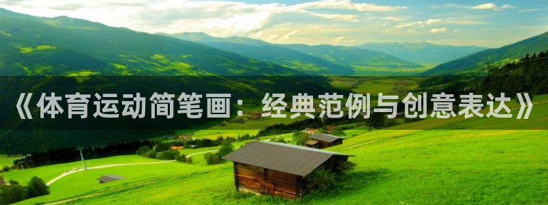 熊猫体育直播nba：《体育运动简笔画：经典范例与创意表达》