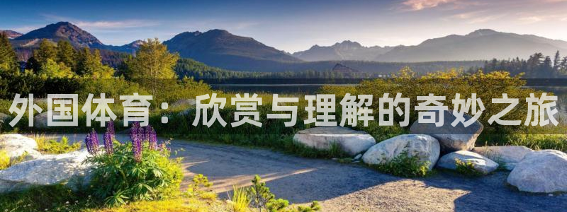 熊猫体育怎么样