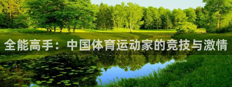 熊猫体育直播nba：全能高手：中国体育运动家的竞技与激情