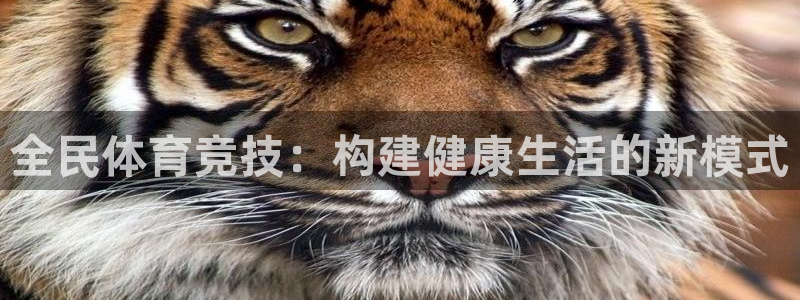 成都金熊猫体育：全民体育竞技：构建健康生活的新模式