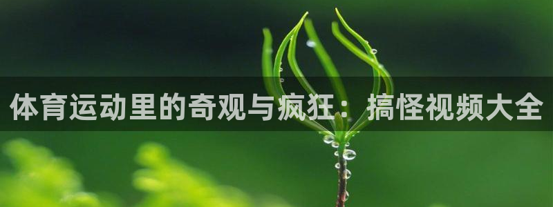 成都金熊猫体育：体育运动里的奇观与疯狂：搞怪视频大全