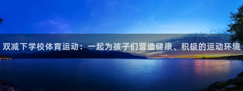 动感熊猫体育公园：双减下学校体育运动：一起为孩子们营造健康、积极的运动环境