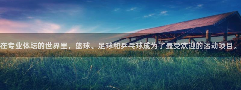 熊猫体育网站：在专业体坛的世界里，篮球、足球和乒乓球成为了最受欢迎的运动项目。