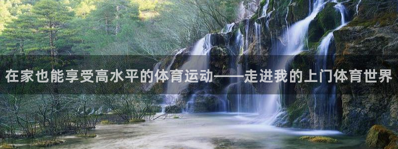 动感熊猫体育公园：在家也能享受高水平的体育运动——走进我的上门体育世界