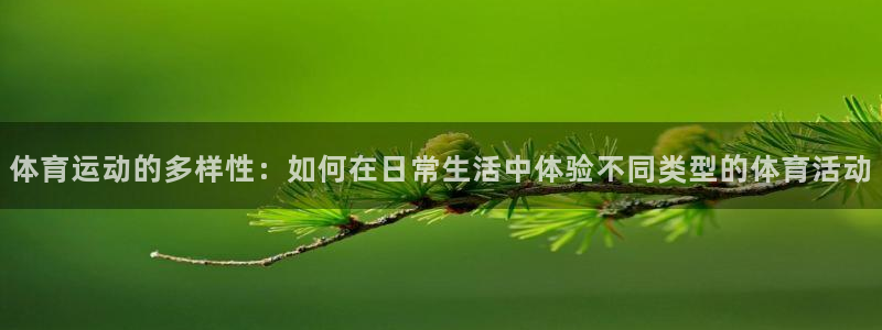熊猫体育sports：体育运动的多样性：如何在日常生活中体验不同类型的体育活动