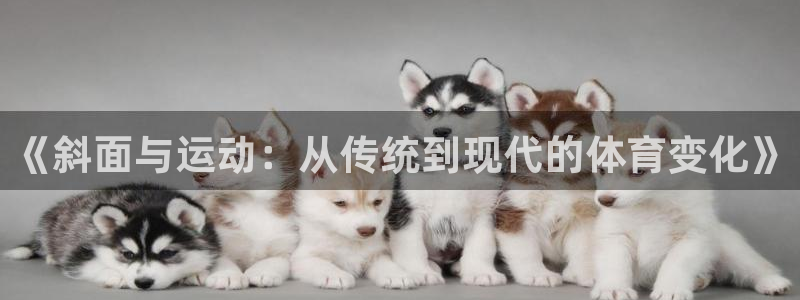 181熊猫体育：《斜面与运动：从传统到现代的体育变化》